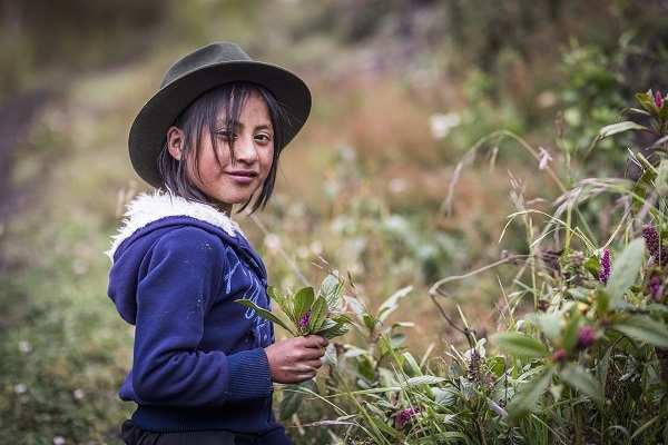 Ein Mädchen pflückt Blumen (Quelle: Martin Bondzio) Ein Mädchen pflückt Blumen (Quelle: Martin Bondzio)