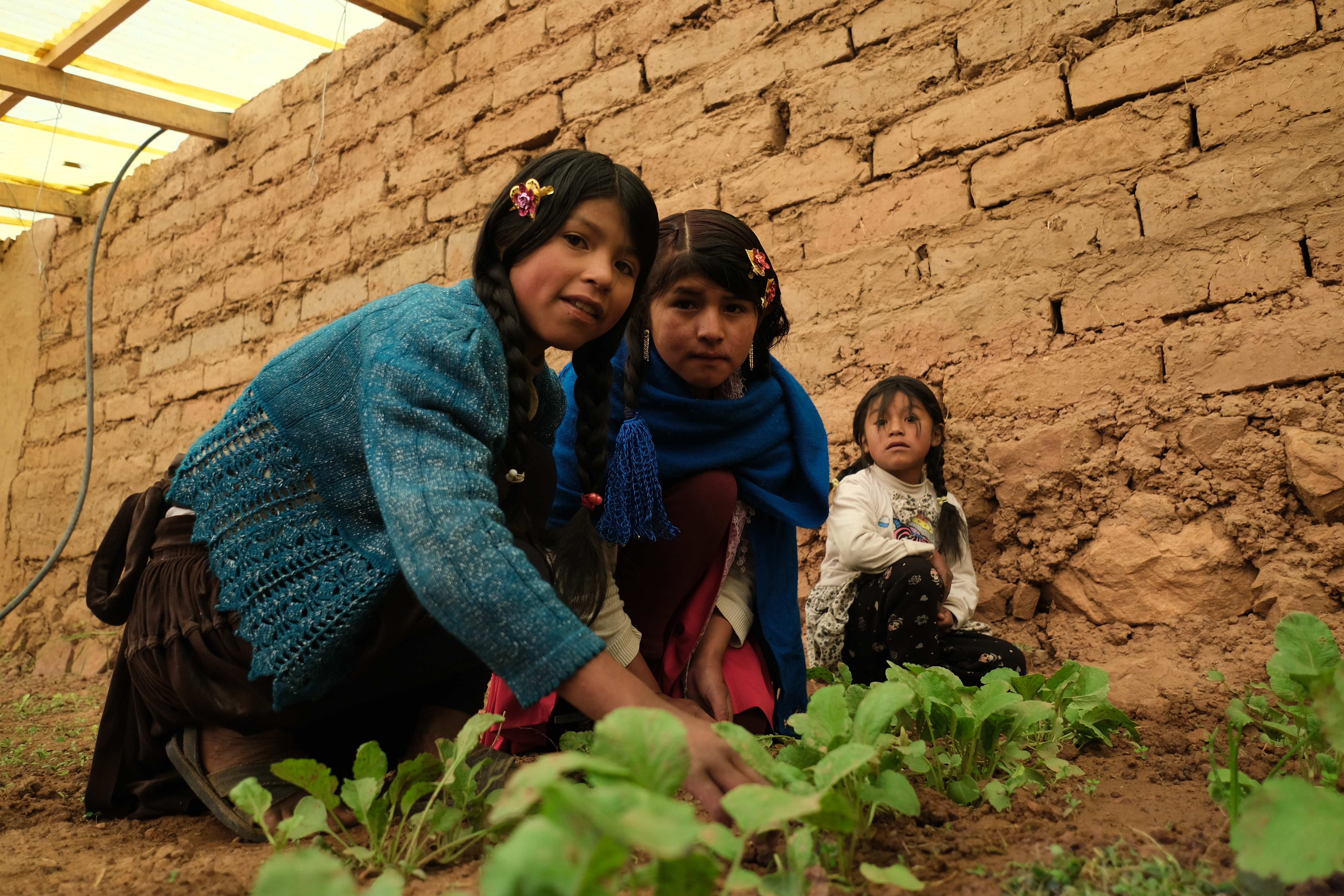 Das neue Gewächshaus versorgt die Schüler*innen mit frischem Gemüse und wichtigen Lernerfahrungen (Foto: Mauricio Vera)