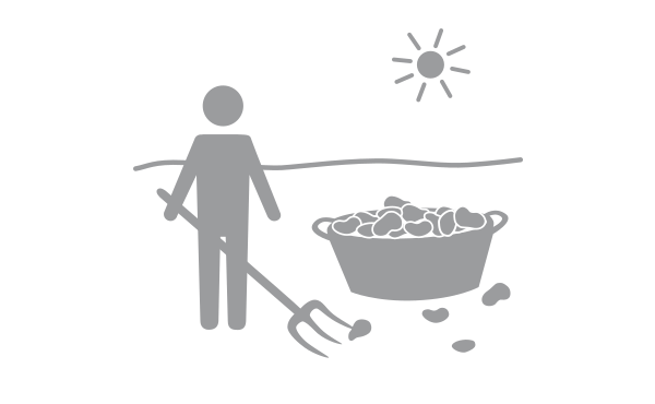 Icon Landwirtschaftskurse